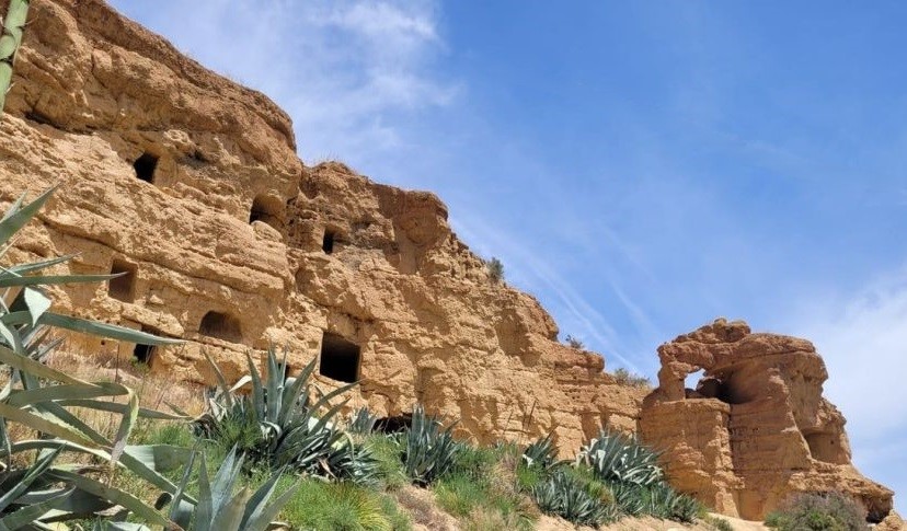 Espectáculos flamencos en Granada